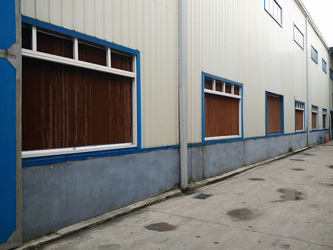 91免费下载成人