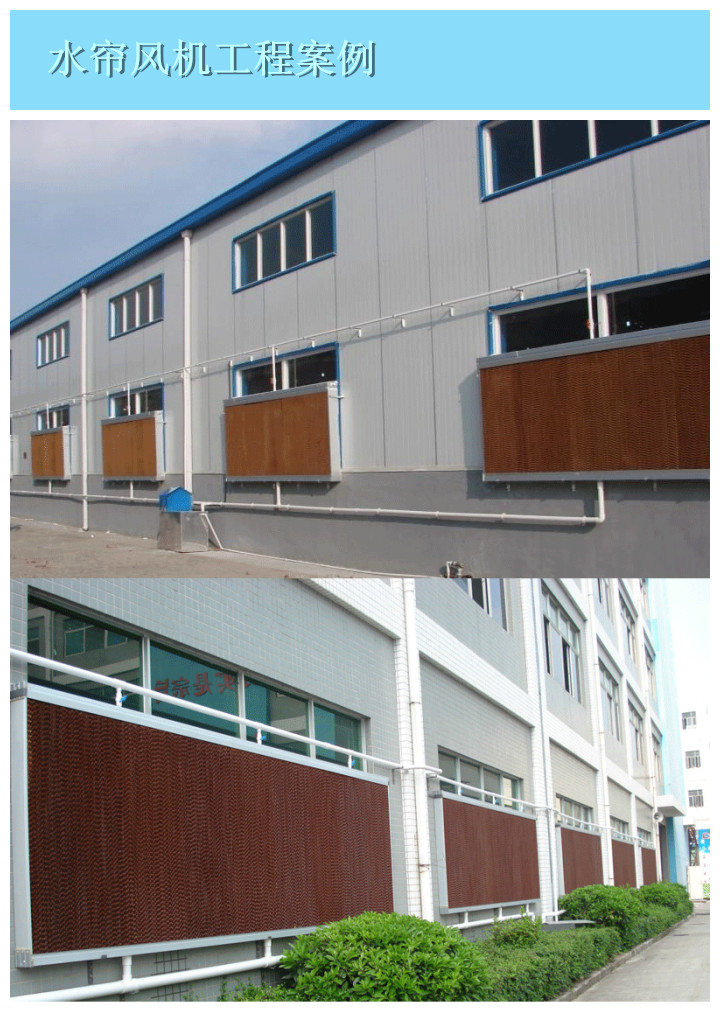 91免费小视频91免费下载成人安装