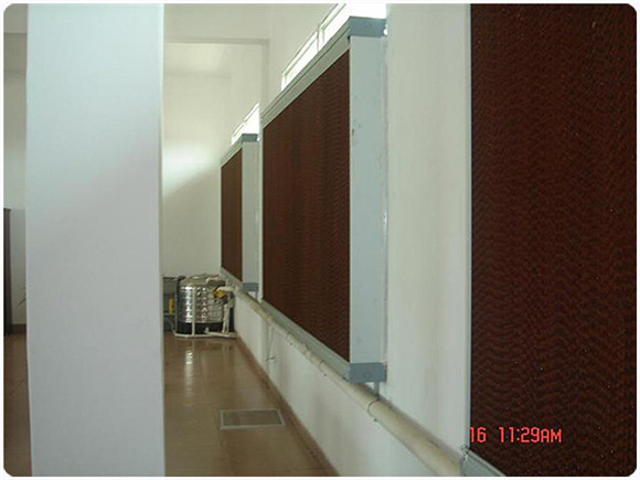 91免费下载成人