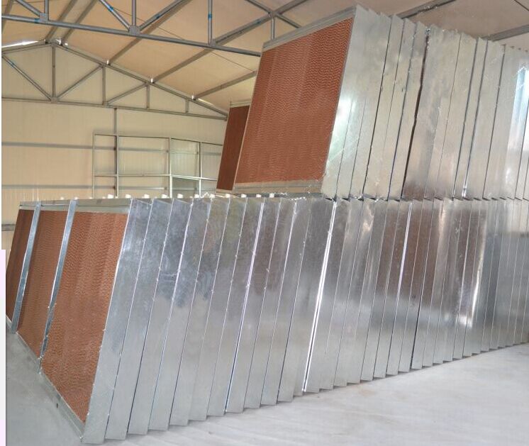 环保91免费下载成人的三大优点