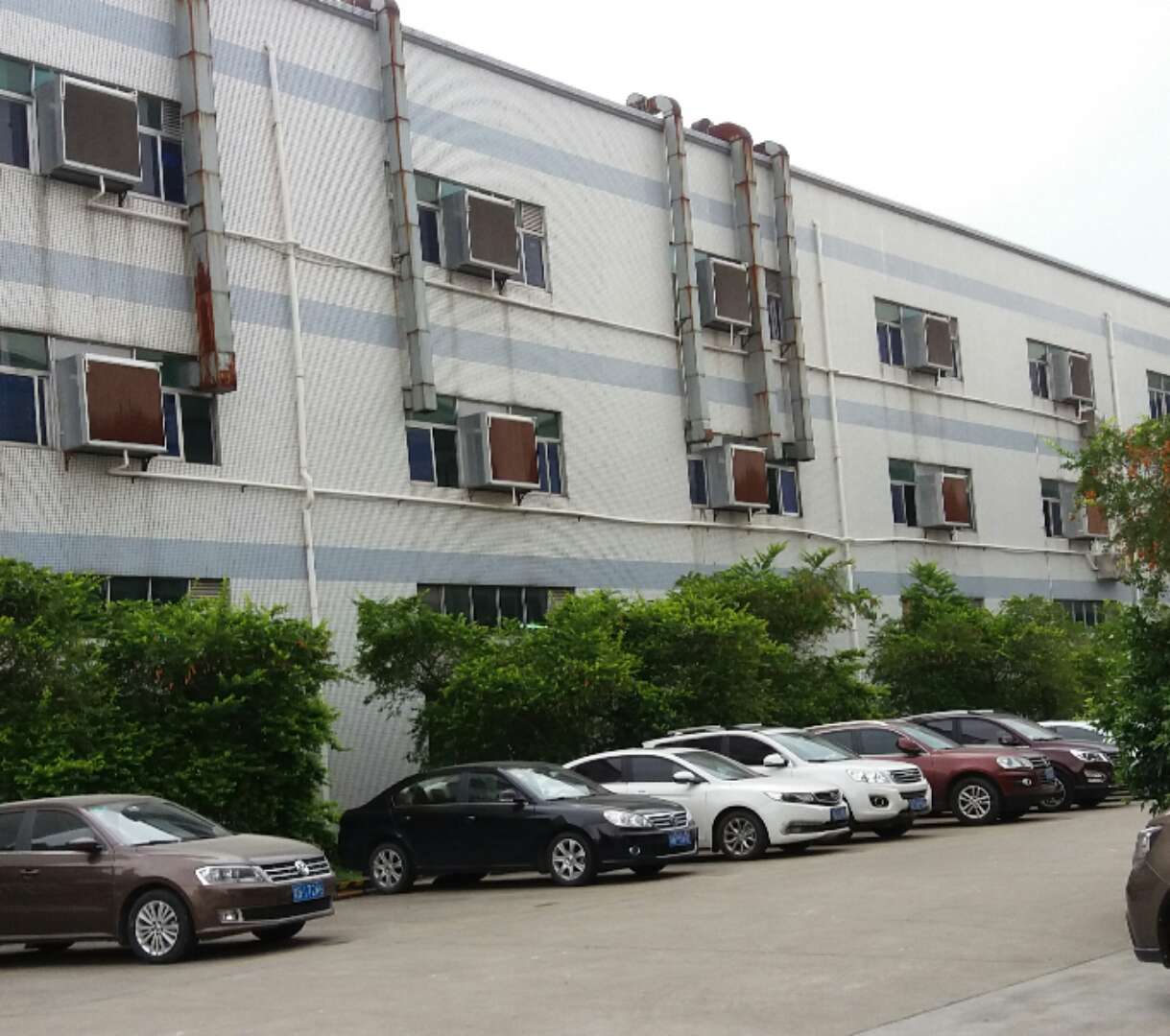 91免费下载成人