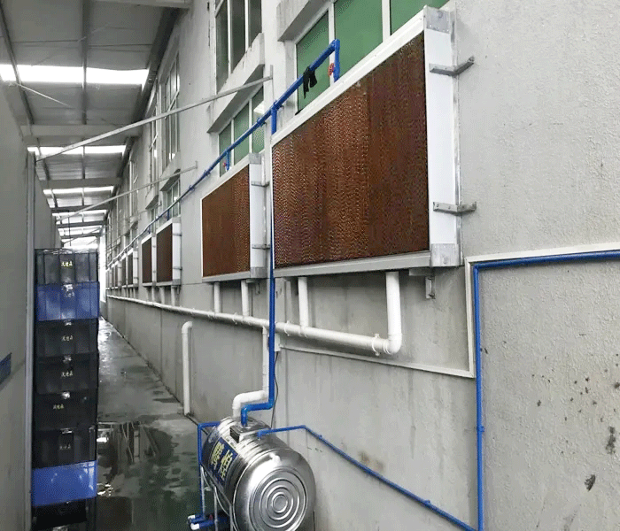 水帘的降温系统，你知道吗