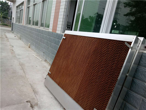 车间降温91免费下载成人的有特点